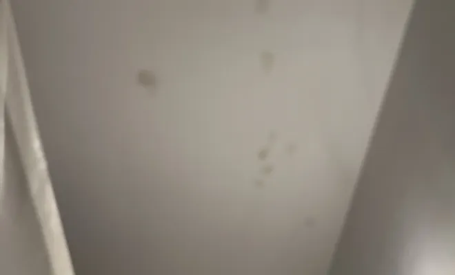 Rafraîchissement en  peinture d’un appartement complet à Neydens, Thonon-les-Bains, FHB Services